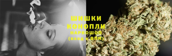 таблы Гусев