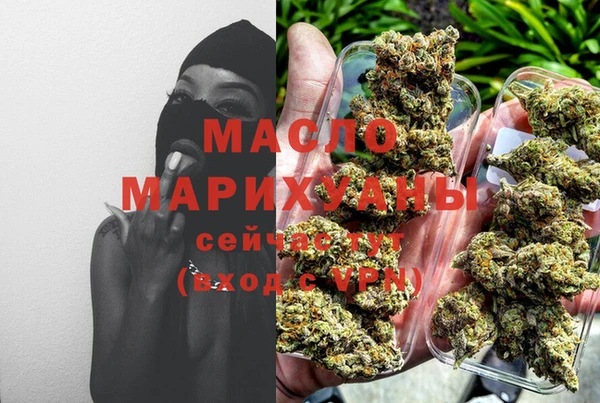 дмт Дмитровск