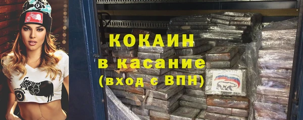 таблы Гусев