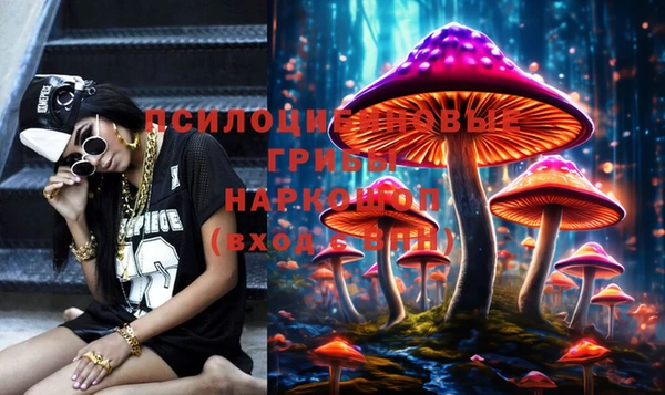 ГАЛЛЮЦИНОГЕННЫЕ ГРИБЫ Дмитров