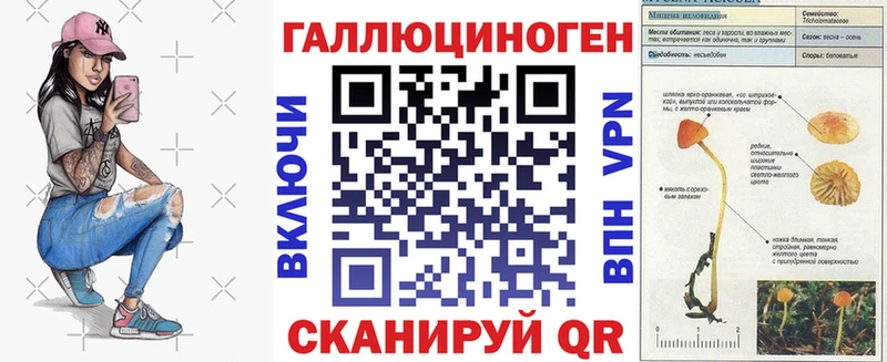 Купить  Нижневартовск  Галлюциногенные грибы Psilocybe 